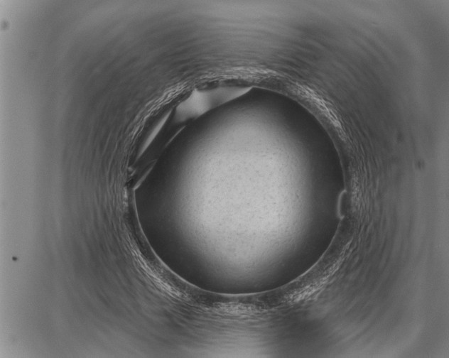 X0000087680633200705181730