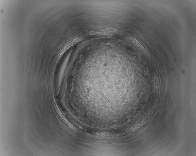 X0000087680634200705181730