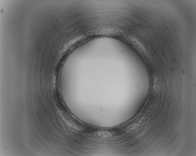 X0000087680636200705181730