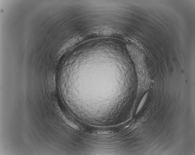 X0000087680638200705181730