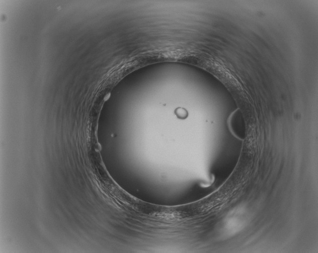 X0000087680639200705181730