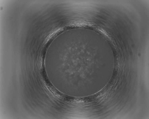 X0000087680640200705181730