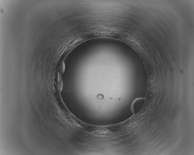 X0000087680642200705181731