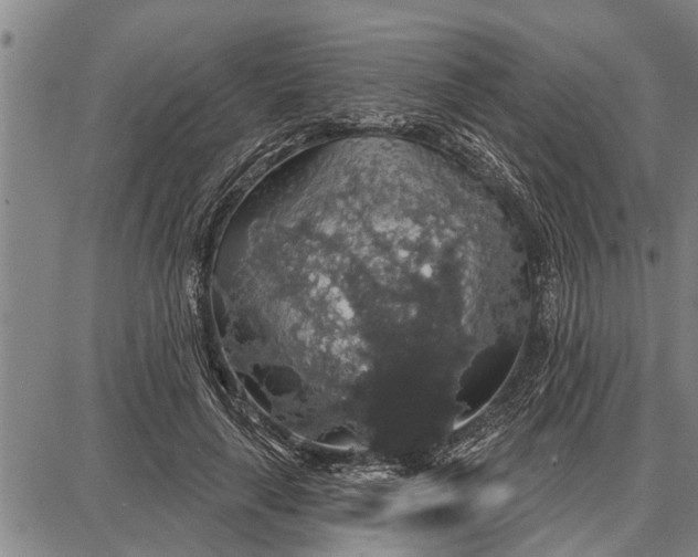 X0000087680643200705181731