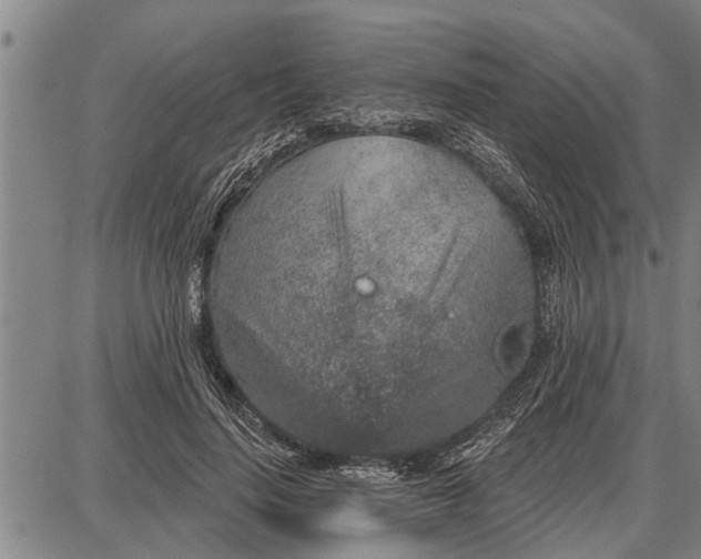 X0000087680644200705181731