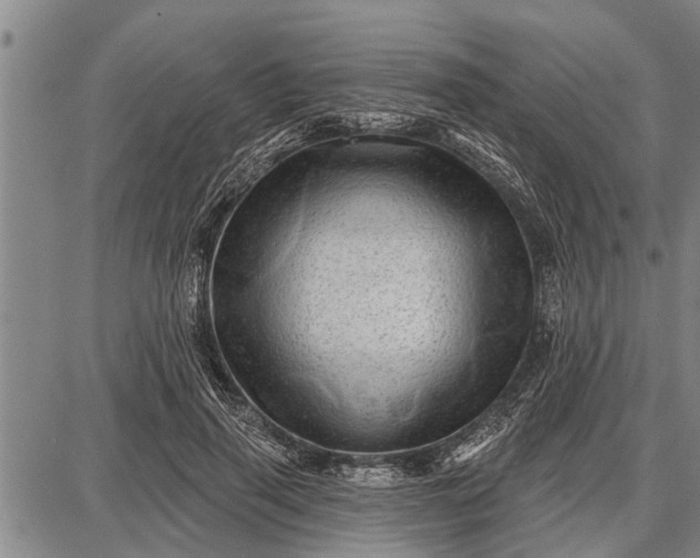 X0000087680645200705181731