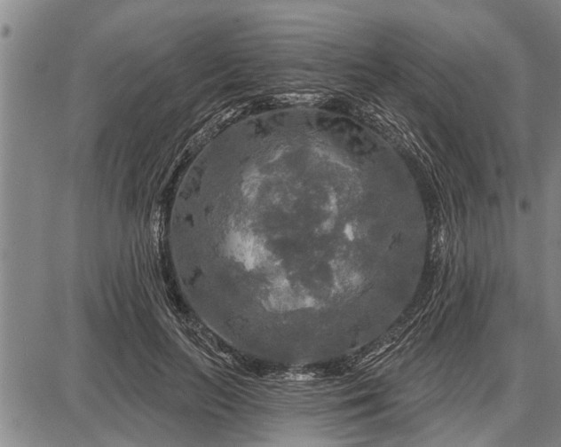 X0000087680647200705181731