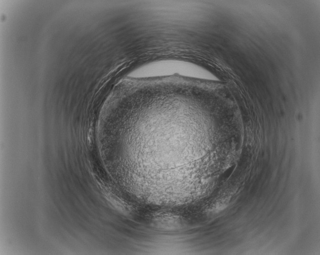 X0000087680648200705181731