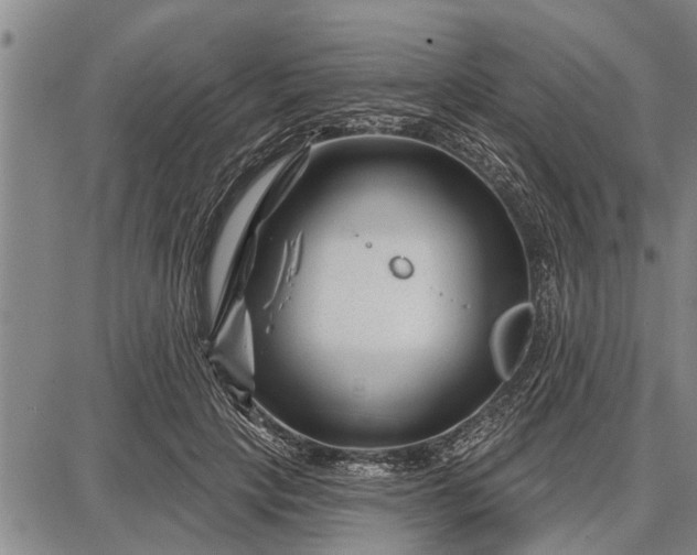 X0000087680649200705181731