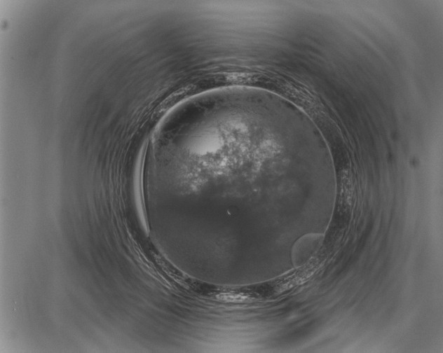 X0000087680650200705181731