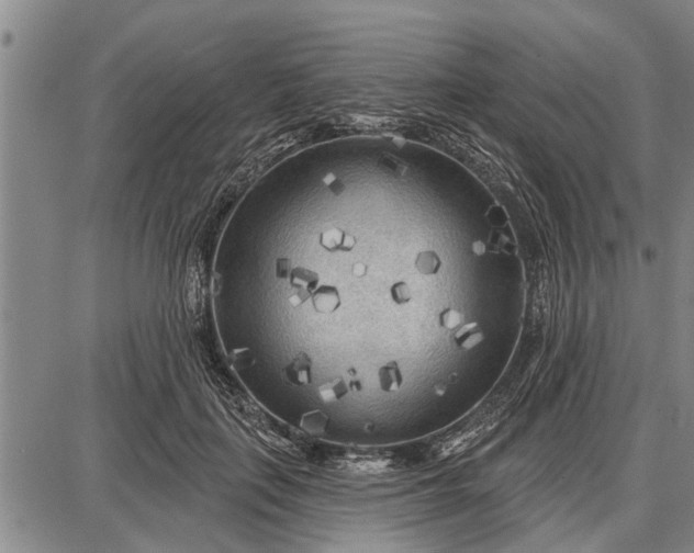 X0000087680651200705181731