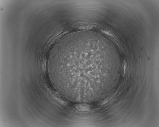 X0000087680652200705181731