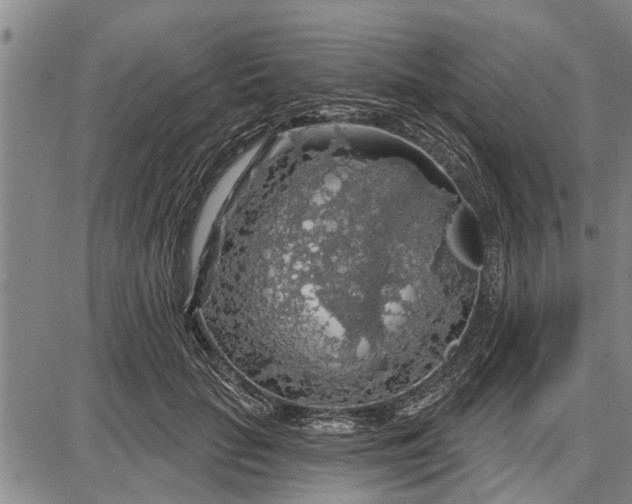 X0000087680653200705181731