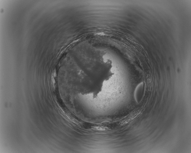 X0000087680654200705181731