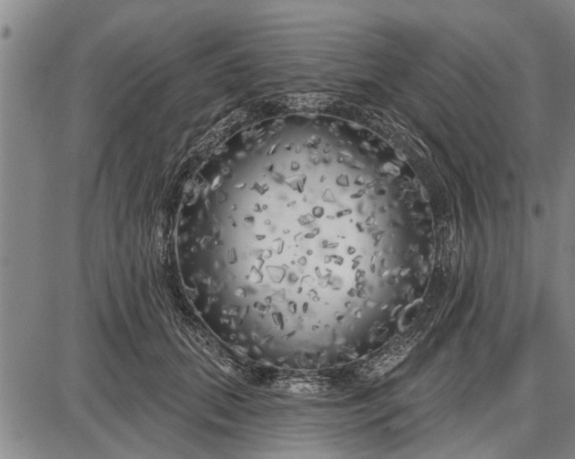 X0000087680655200705181731