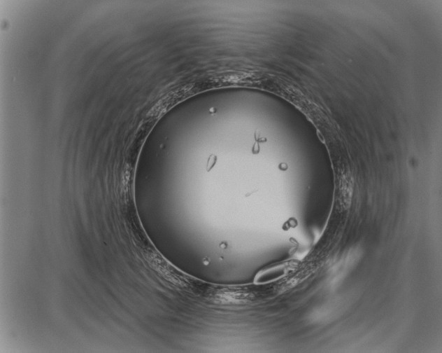 X0000087680657200705181731