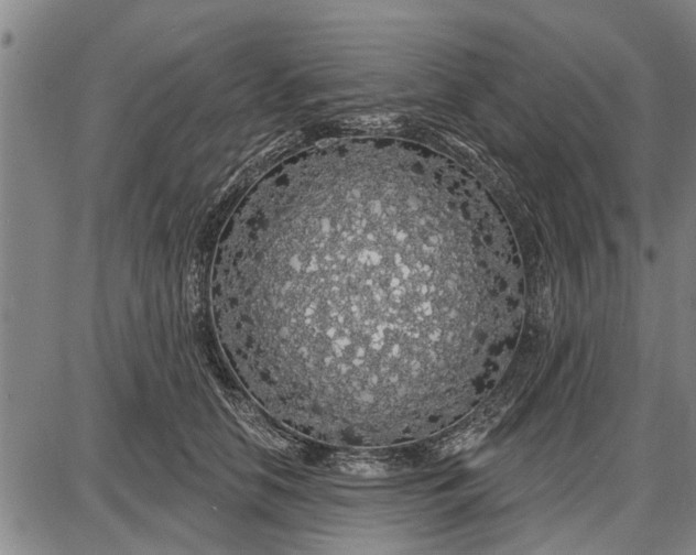 X0000087680658200705181731