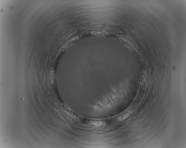 X0000087680659200705181731