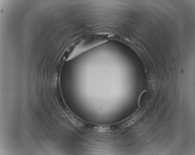 X0000087680660200705181731