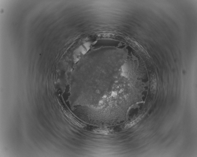 X0000087680661200705181731