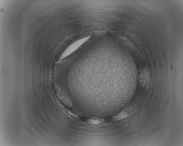 X0000087680662200705181731