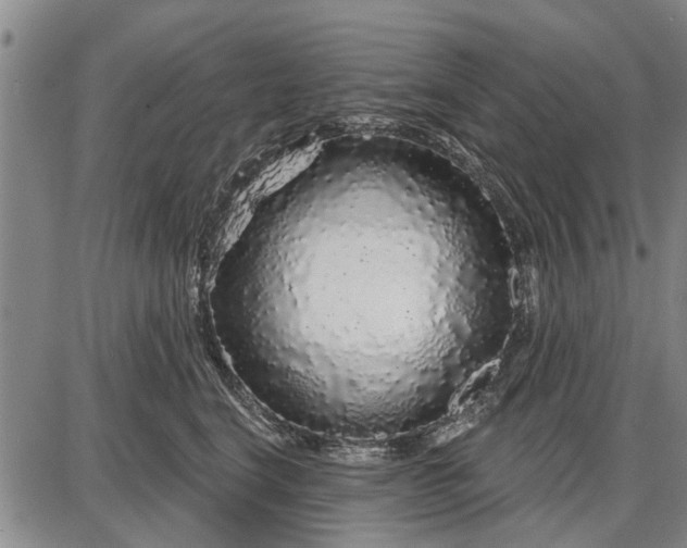 X0000087680664200705181731