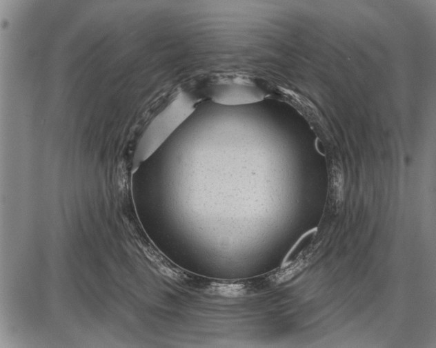 X0000087680665200705181731