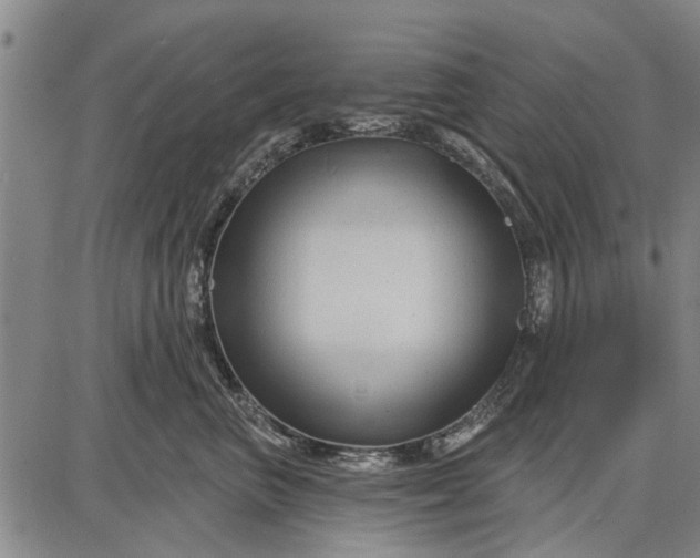 X0000087680667200705181731