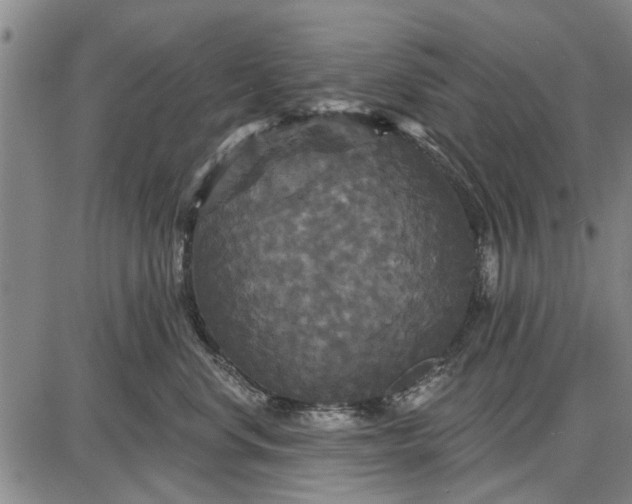 X0000087680668200705181731