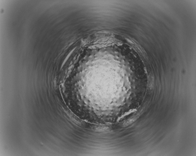 X0000087680669200705181731