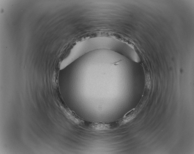 X0000087680670200705181731