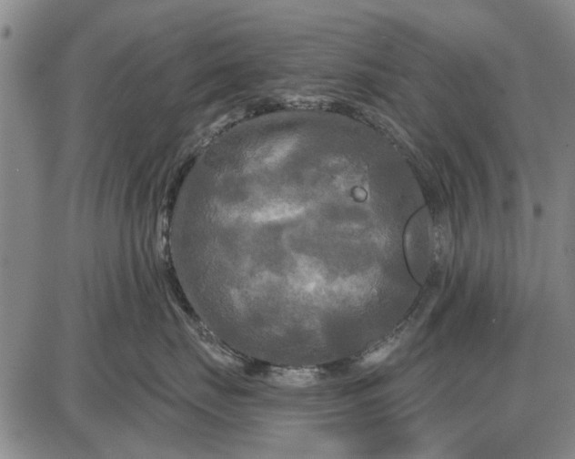 X0000087680671200705181731