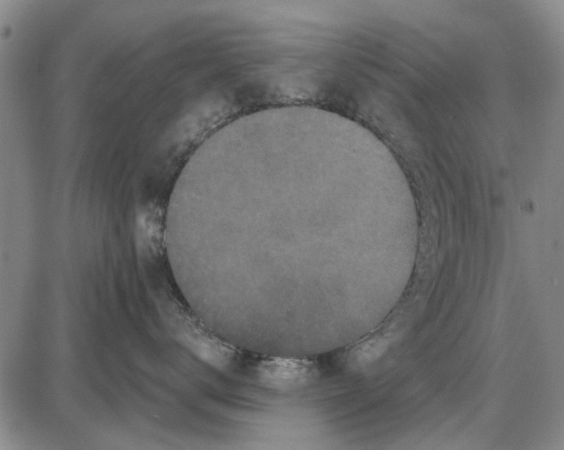 X0000087680672200705181731