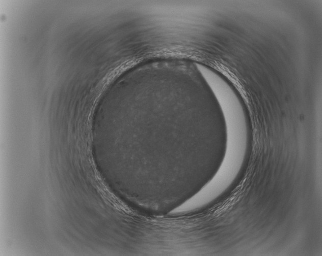 X0000087680673200705181730