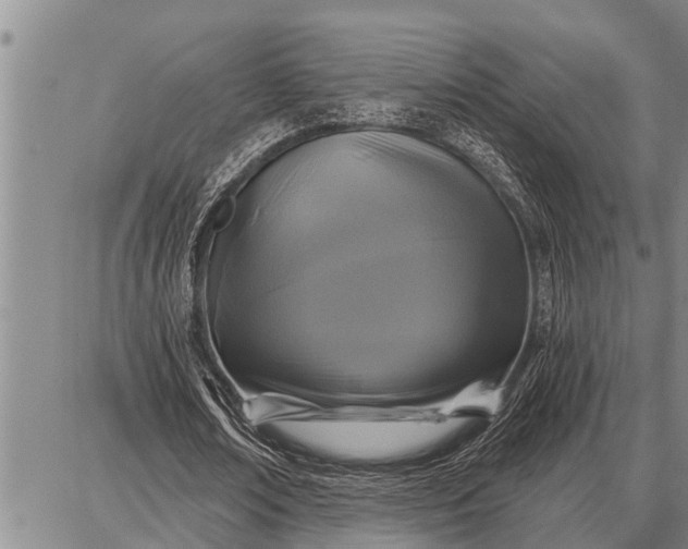 X0000087680674200705181730