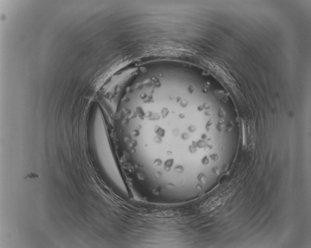 X0000087680675200705181730