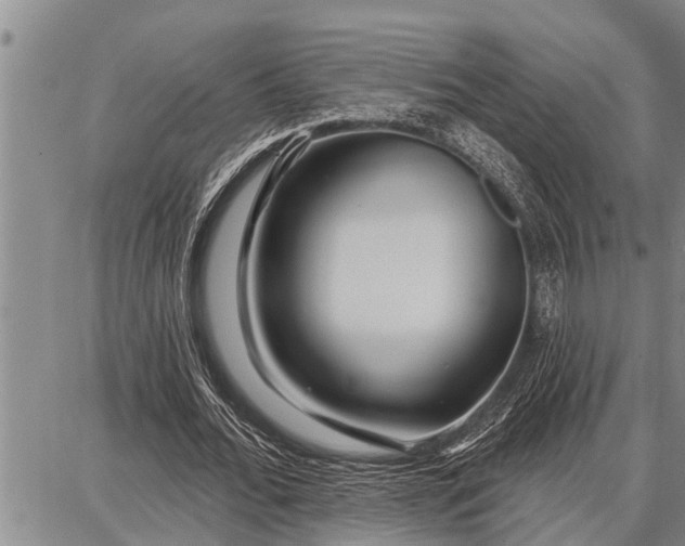 X0000087680676200705181730