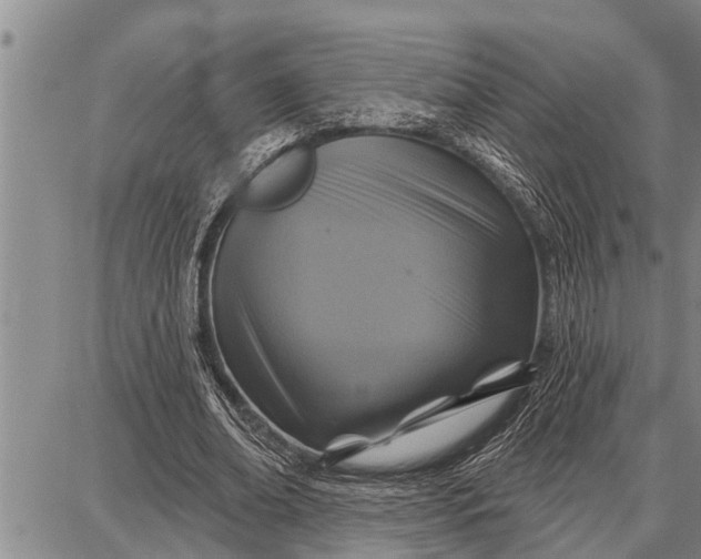 X0000087680678200705181730