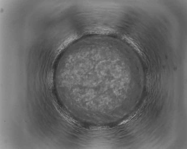 X0000087680679200705181730