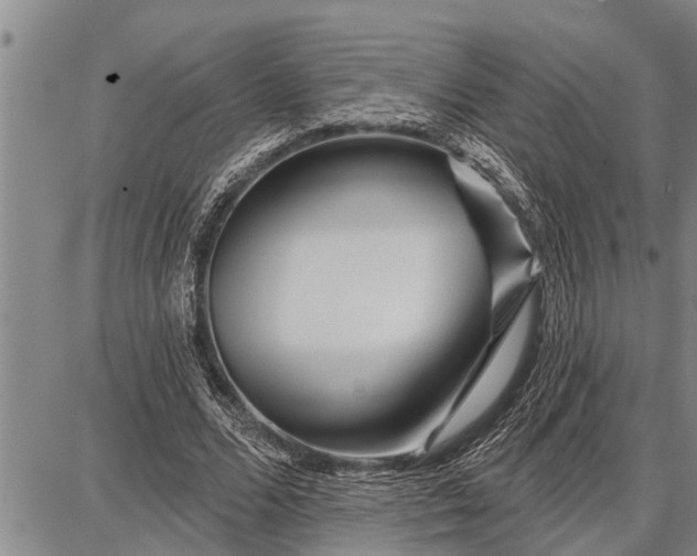 X0000087680680200705181730