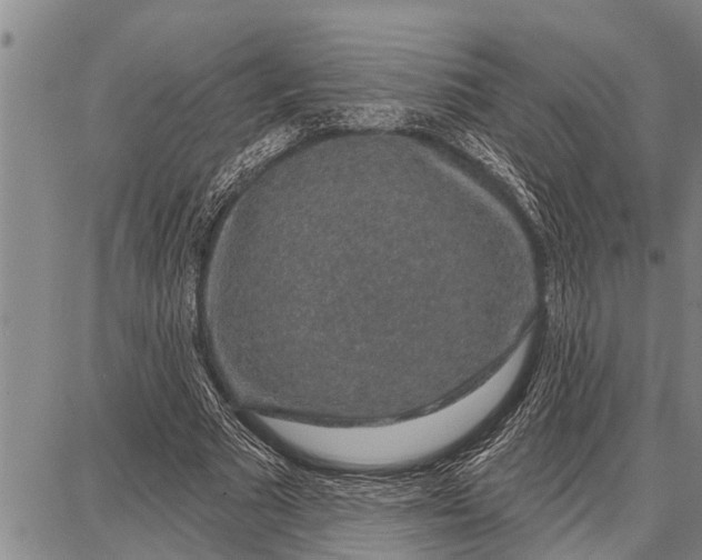 X0000087680681200705181730