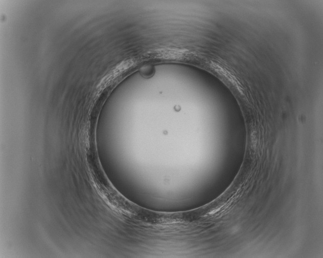 X0000087680682200705181730