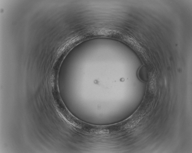 X0000087680683200705181730