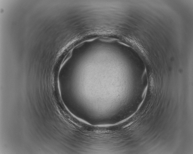 X0000087680684200705181730