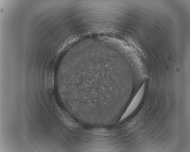 X0000087680685200705181730