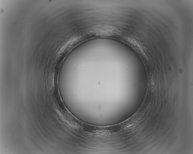 X0000087680686200705181730