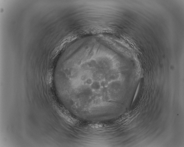 X0000087680687200705181730