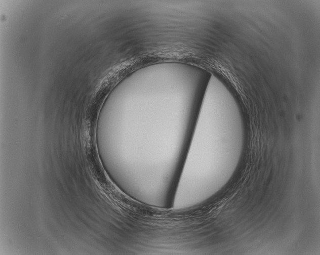 X0000087680688200705181730