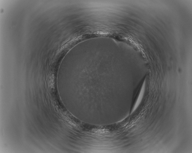 X0000087680689200705181730