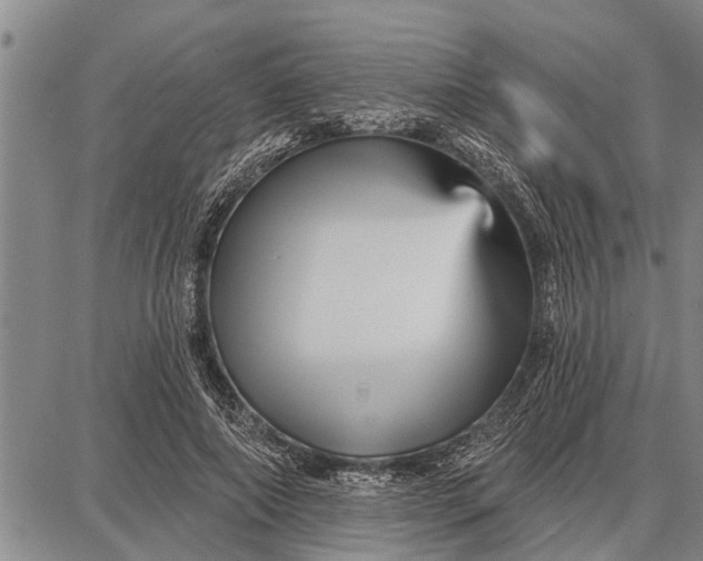 X0000087680690200705181730